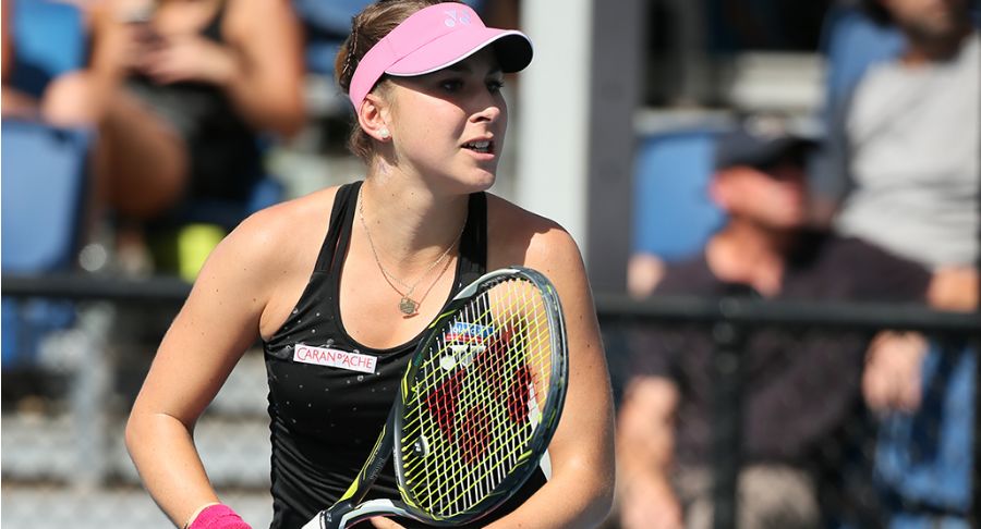 在高水平的 在高水平的